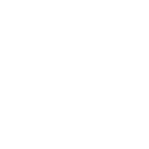 Academy of Certified Brain Injury Specialists